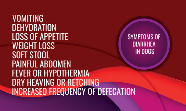 Symptoms Of Diarrhea In Dogs.  Vector Illustration For Medical Journal Or Brochure. 