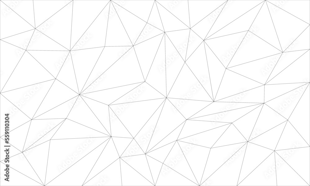 Wall mural abstract gray line triangle polygon on white background vector