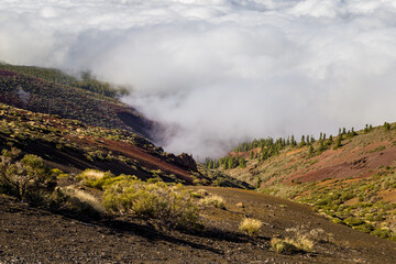 Hills Descending into Thick White Clouds