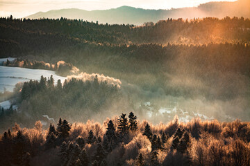 Beautiful morning sunrays over the misty winter forest, Bieszczady, Poland