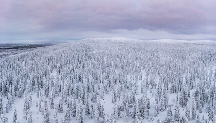Fototapeta na wymiar landscape with fog and snow