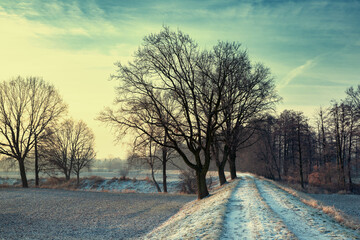 Krajobraz zimowy. Wschód słońca i zimowy poranek na bezdrożach. Świtanie w zimowej scenerii....