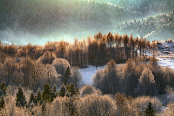 Fairy mountain forest in the winter morning, Bieszczady, Poland
