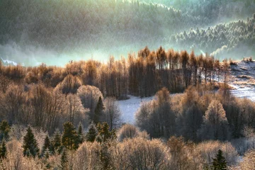 Keuken foto achterwand Mistig bos Fairy mountain forest in the winter morning, Bieszczady, Poland