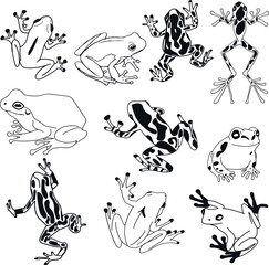Frog silhouettes icon, tropical frog, SVG Vector