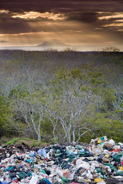 A fading sun casts its rays across Rabida Island as seen from one of the many dumps on Santa Cruz Island in the Galapagos.