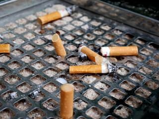 Cigarettes  left in ashtray