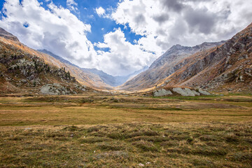 Carpet of autumn withered yellow-green grass on spacious flat meadow in gorge between Italian Alps in Gran Paradiso National Park. Aosta Valley, Italy