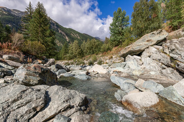 Mountain ice stream among granite rocks covered with mixed green forest in Parco Nazionale del Gran Paradiso. Aosta valley, Italy
