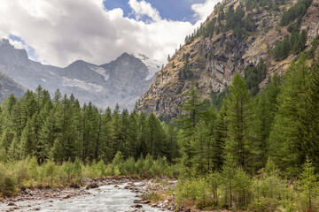 Steep granite slope gives way to mountain gorge with evergreen pine forest and swift water stream in Gran Paradiso National Park. Aosta Valley, Italy