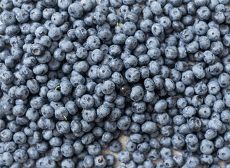 Fresh large blueberry. Close-up background