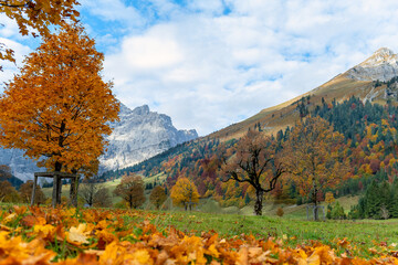 Herbstlaub liegt am Boden in den Bergen