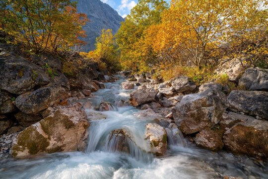 Gebirgsbach im Herbst