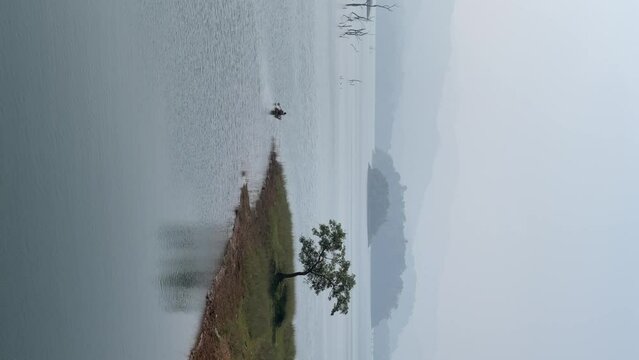 unedited iPhone footage of banasura sagar dam lake view with lonely tree, 4k 60 fps