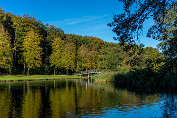 Fototapeta na wymiar Netherlands, Hague, Haagse Bos, bridge over a lake amidst trees