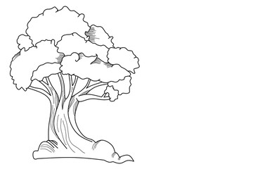 tree sketch illustration, coloring book design