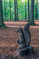 Netherlands, Hague, Haagse Bos, a tree in the middle of a forest