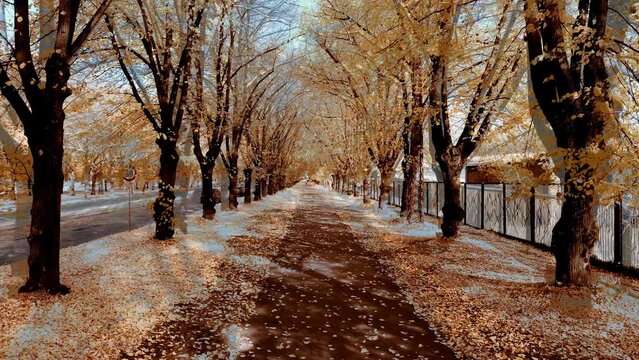 4K season change from orange colors of Autumn forest landscape to sunlight white winter wonderland. 