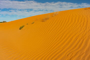 Perry Sandhills dunes in NSW, Australia