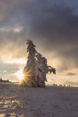 Nationalpark Röhn Winterstimmung am Kreuzberg im Abendlicht und schöne Winterlandschaft mit Sonnenstern und schneebedeckten Tannen in der Abendstimmung