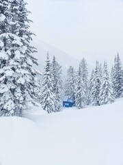 A blue house in thee forest.Winter forest.lots of snow,deep snowdrifts.Winter landscape.The wilderness of the forest.