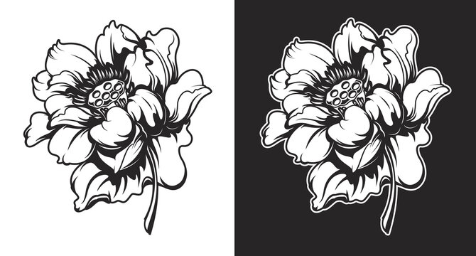 Black and white vector illustrations of lotus flowers isolated.