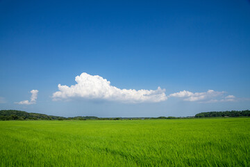 田園風景