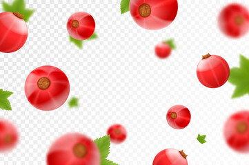 Red currant background. Flying currant with green leaves on transparent background. Falling berries from different angles. Focused and blurry objects. Realistic 3d vector illustration