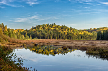 Yellow fall trees reflecting in the lake