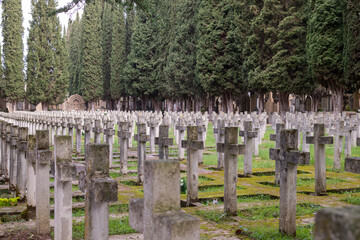 Old cemetery of Pamplona, where are buried soldiers of the Spanish civil war, almost a century after the war, nobody remembers to visit the cemetery.