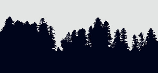 Background with evergreen forest silhouettes 