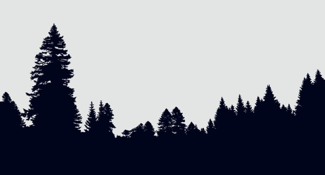 Background with evergreen forest silhouettes 