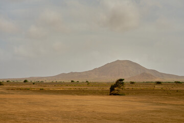 Fototapeta na wymiar The desert landscape of the island of Sal in Cape Verde.