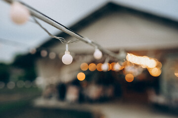 christmas tree decorations, wedding on occasion, holiday, hotel, birthday, family, 