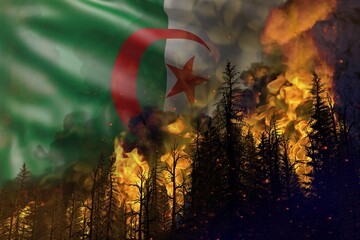 Forest fire natural disaster concept - burning fire in the woods on Algeria flag background - 3D illustration of nature