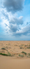 Fototapeta na wymiar Thunderstorm unusual cloud over the Kyzylkum desert