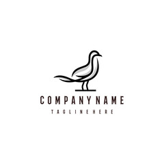 Fototapeta na wymiar Seagull logo design. Awesome seagull logo. A seagull logotype. Animal logo design