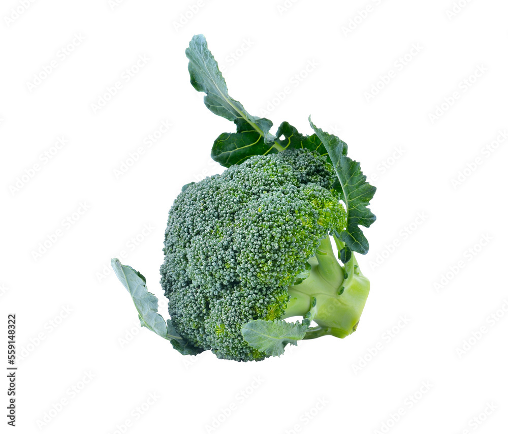 Wall mural fresh broccoli on   transparent png