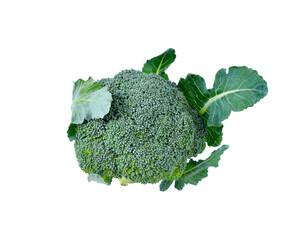 fresh broccoli on  transparent png