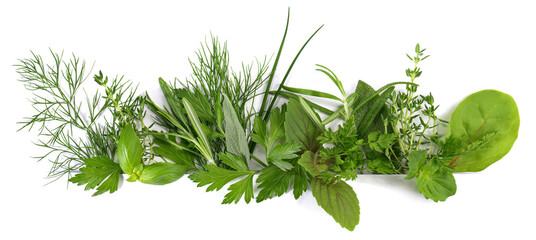 Verschiedene frische Kräuter - Fresh Herbs Panorama - obrazy, fototapety, plakaty