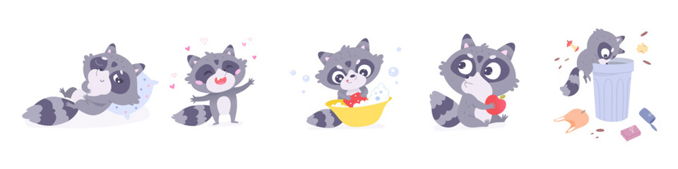 Cute raccoon poses set, zoo or wild baby racoon with funny face eating apple and playing