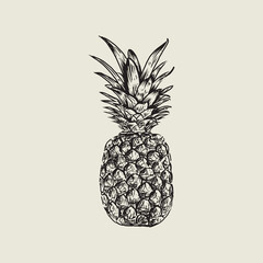 Pineapple drawing with vintage style