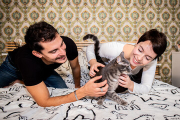 Young couple is playing with their cat on the bed. Beautiful couple caress the fluffy gray cat. - 559152541