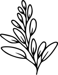Hand drawn line art floral decorative elements, leaves, flowers, herbs and branches botanical doodles