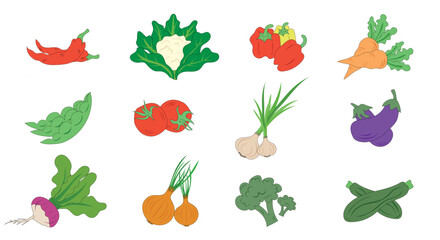 Hand Drawn Vegetable Collection