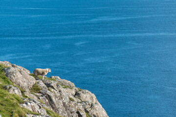 Neist Point Lighthouse