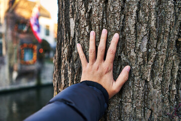  Hand of man touching tree at park