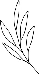 Hand drawn line art floral decorative elements, leaves, flowers, herbs and branches botanical doodles