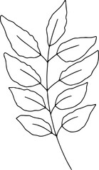 Obraz premium Hand drawn line art floral decorative elements, leaves, flowers, herbs and branches botanical doodles