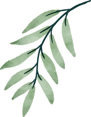 beautiful bouquet of watercolor flowers and leaves Watercolor floral elements